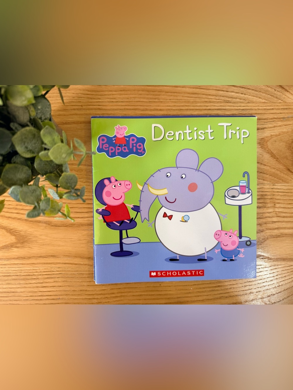 🌿10/$25 • Scholastic Dentist Trip Paperback